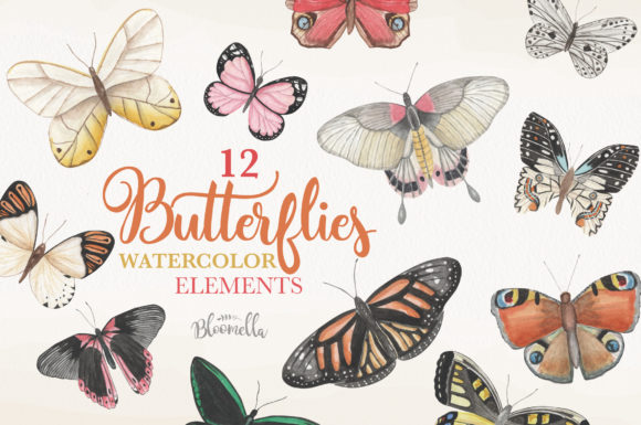 Butterfly Watercolor 12 Illustrations