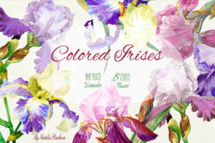 Colored Irises Watercolor Clipart: A Versatile Illustration for Crafters