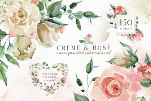 Creme Rose Watercolor Set: A Designer’s Practical Take