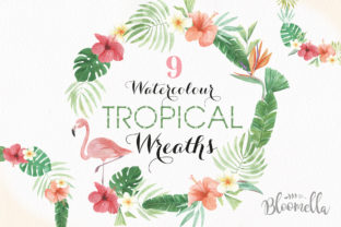 Flamingo Tucan Wreath Watercolor Parrot Illustrations