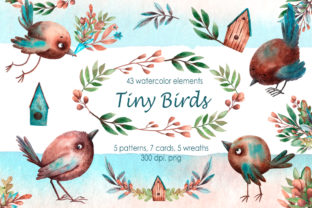 Tiny Birds - Watercolor Clip Art Set and Illustrations