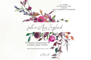 Watercolor Fall Twigs Herbs Flowers Illustrations