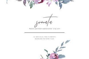 Watercolor Lilac Roses: A Delicate Illustration for Branding and Packaging