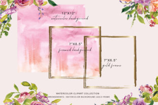 Watercolor Peach Pink Rose Clipart and Illustrations