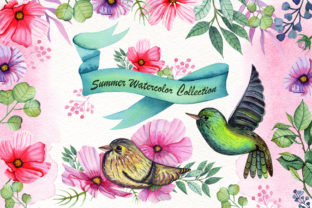Watercolor Summer Collection and Illustrations